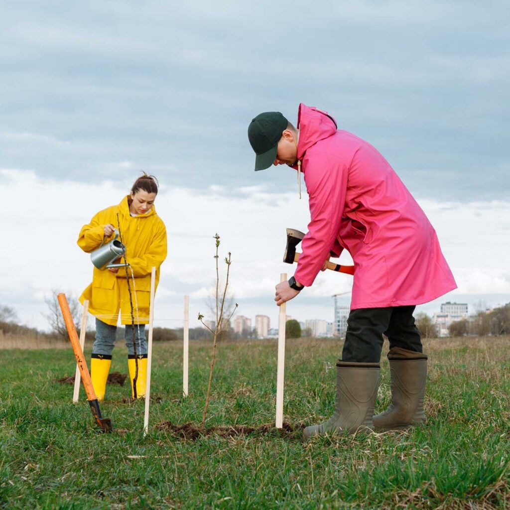 Tree Planting Thursdays