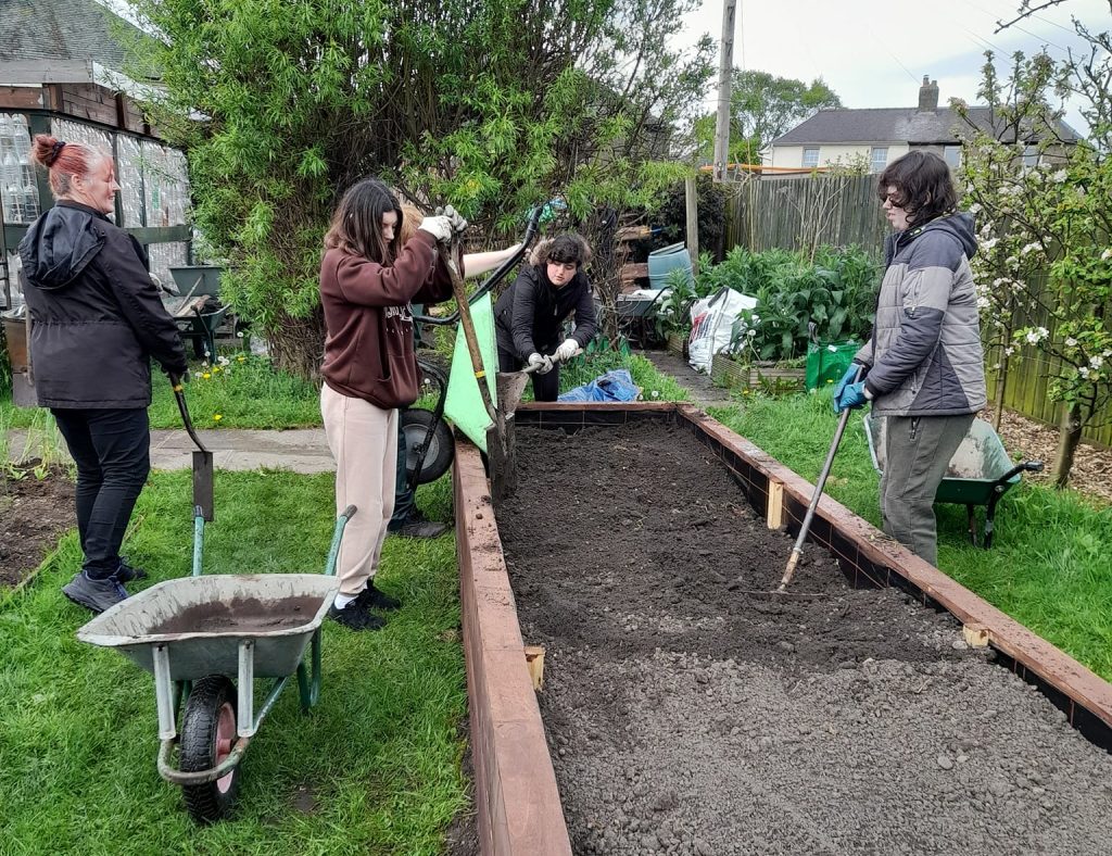 Climate-friendly community gardening volunteer sessions
