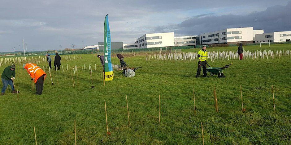 Winter weekend tree planting