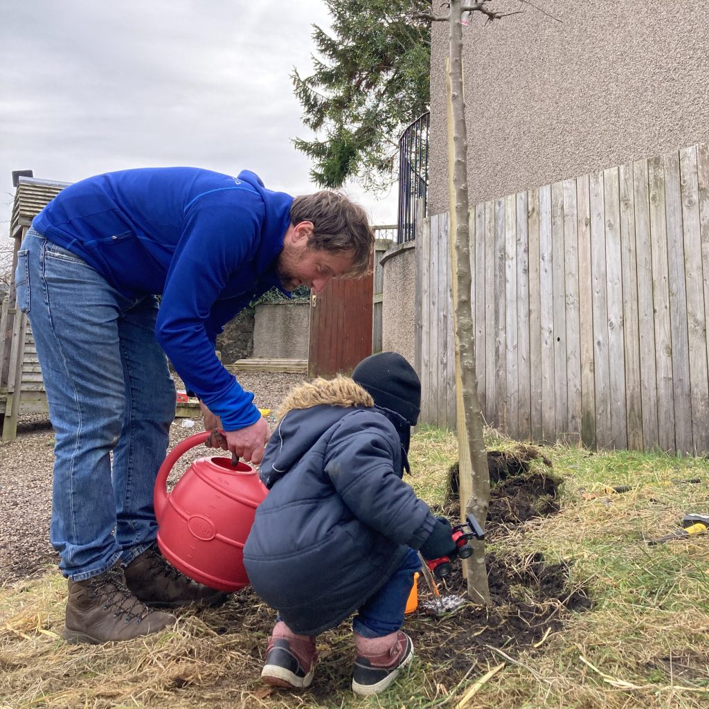 Pick-up a fruit tree in Burntisland