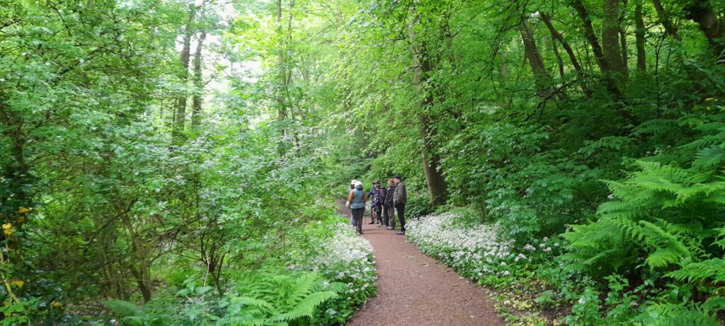 Amble walk and talk group