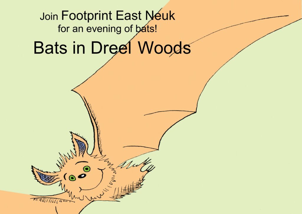 Bats & Stories in Dreel Woods