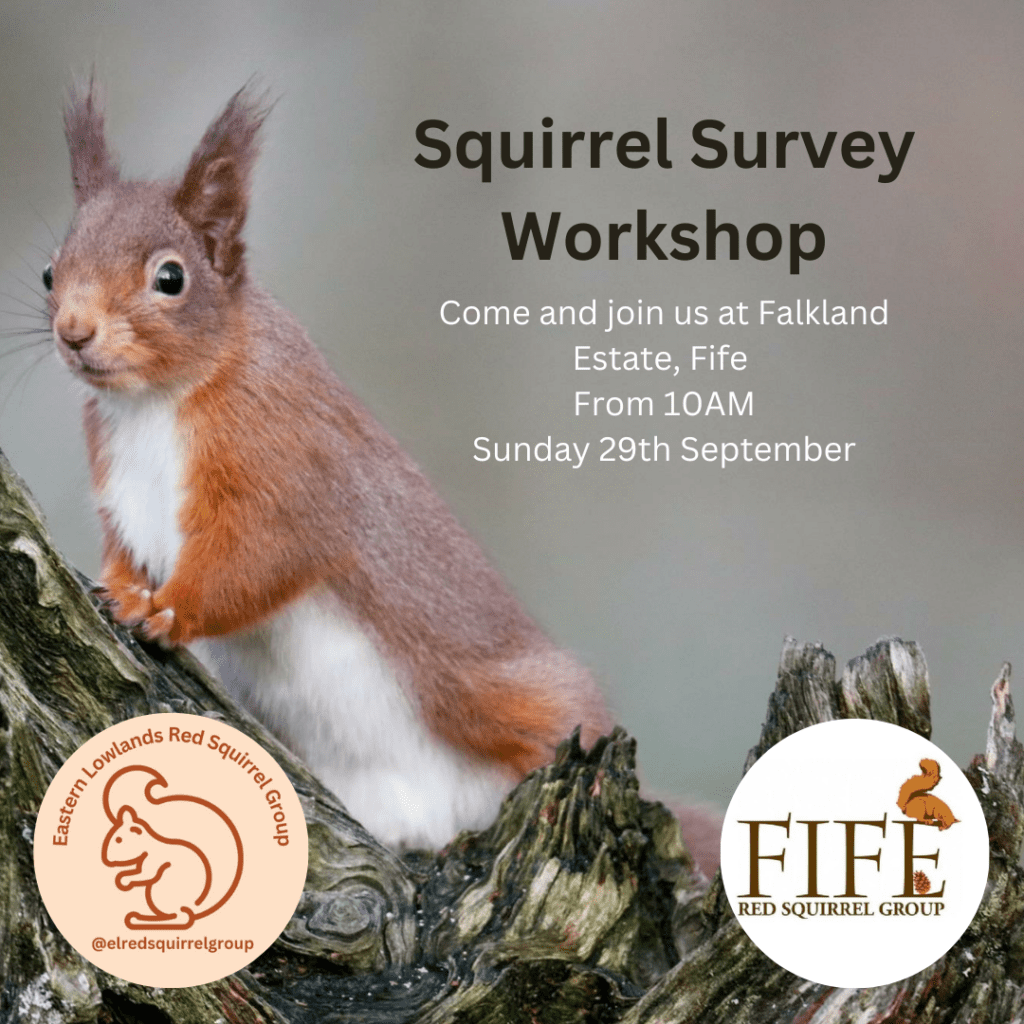 Squirrel Survey Workshop