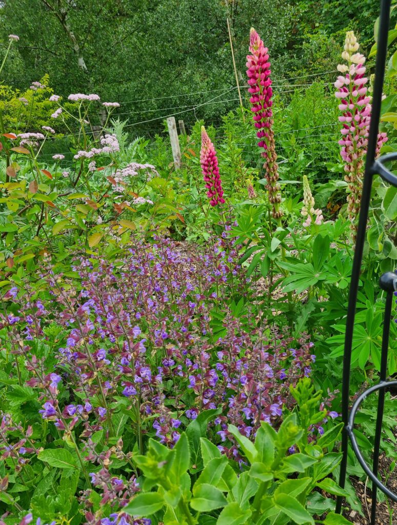 Introduction to Forest Gardening