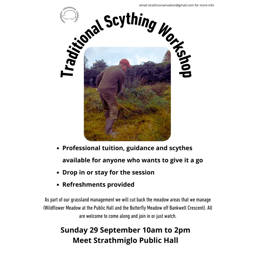 Autumn Scything Workshop