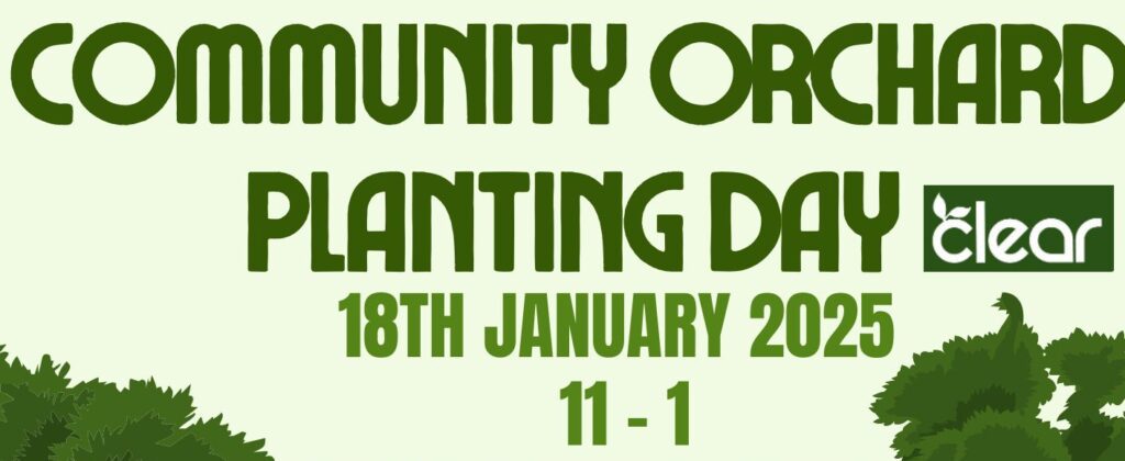 Community Orchard planting