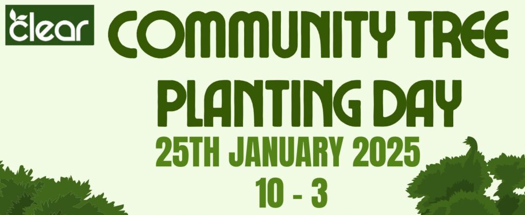 Community tree planting event