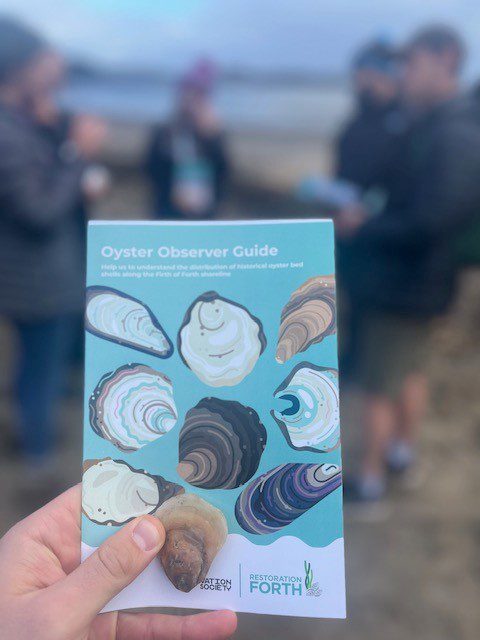 How to run coastal biodiversity surveys- with Restoration Forth