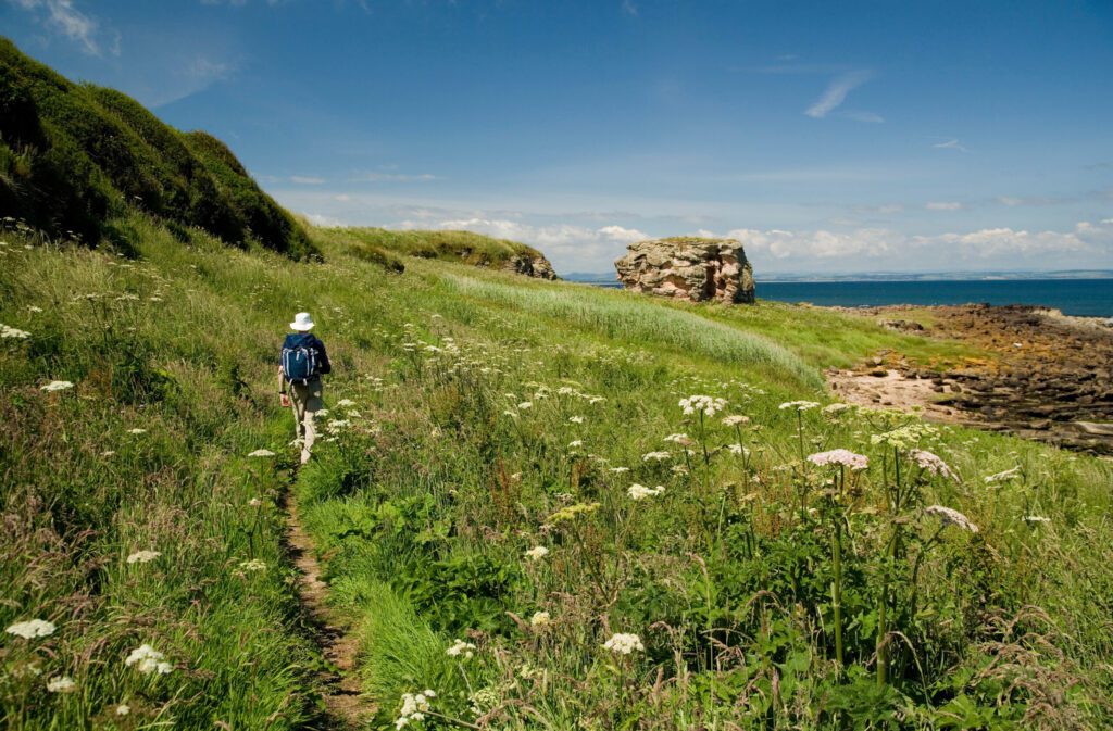Cambo to St Andrews Guided Walk