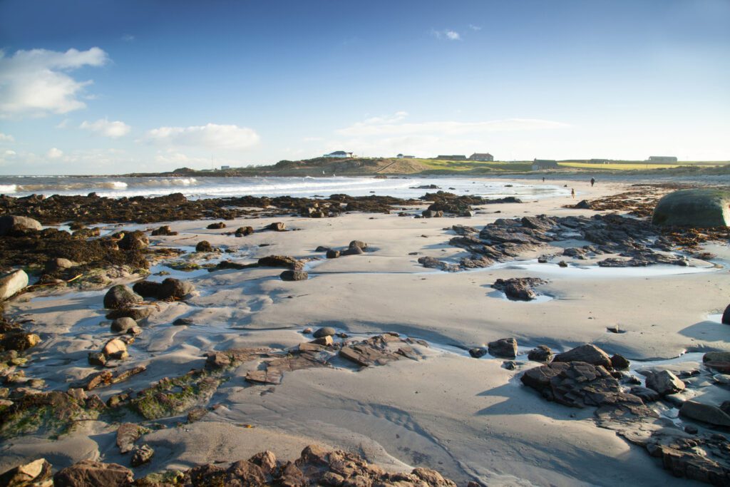 Crail to Cambo Guided Walk