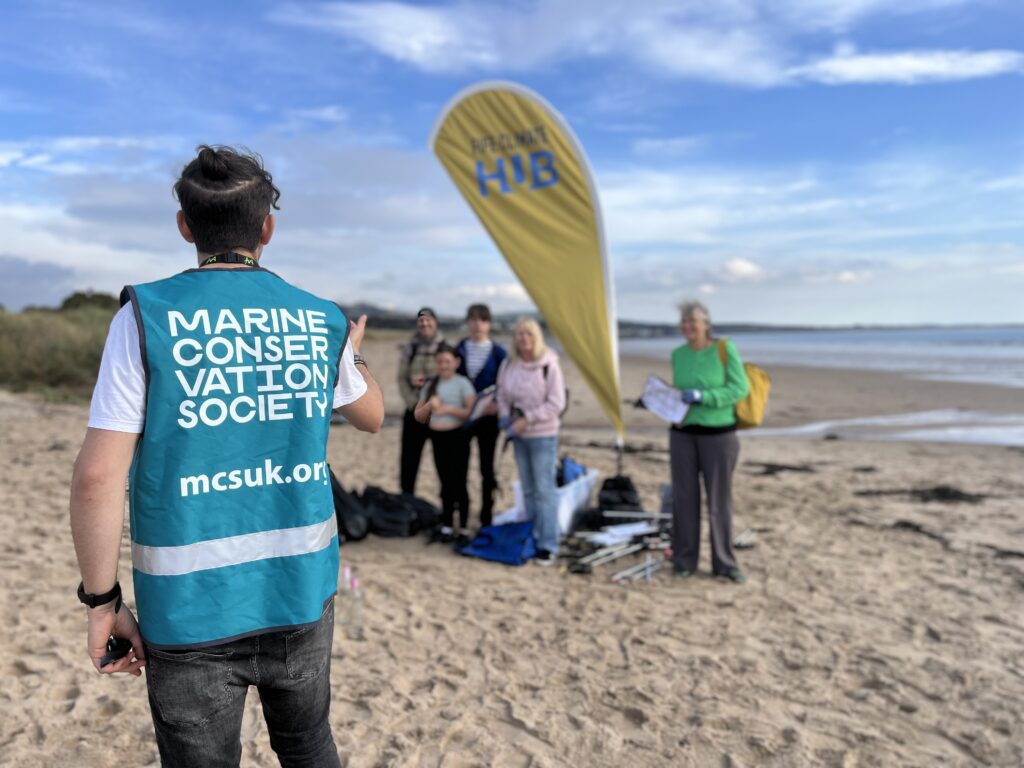 Leven Beach clean