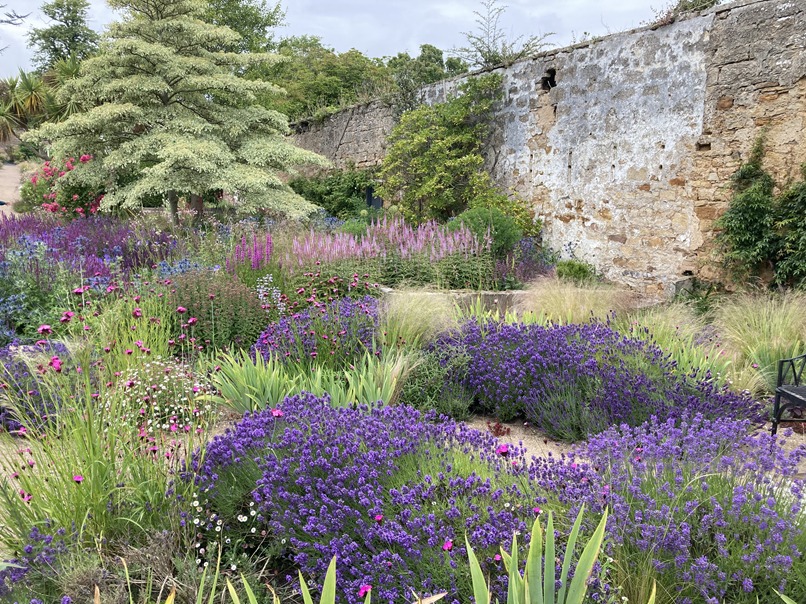 Botany for Climate Friendly Gardens