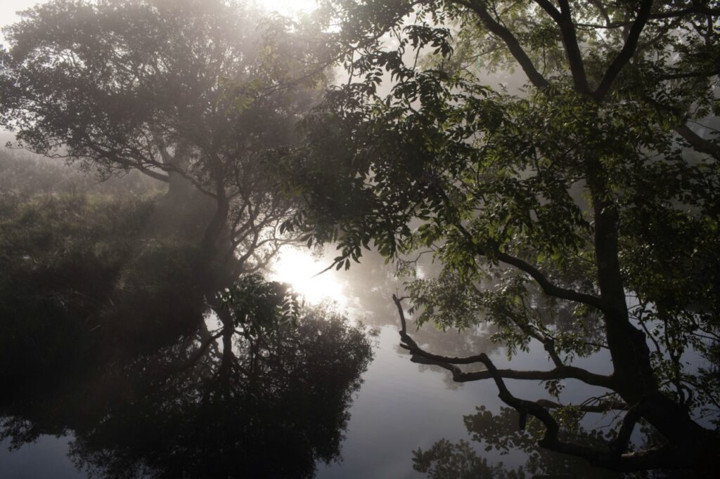 Workshop – A Space for Hope: an interactive installation on climate hope