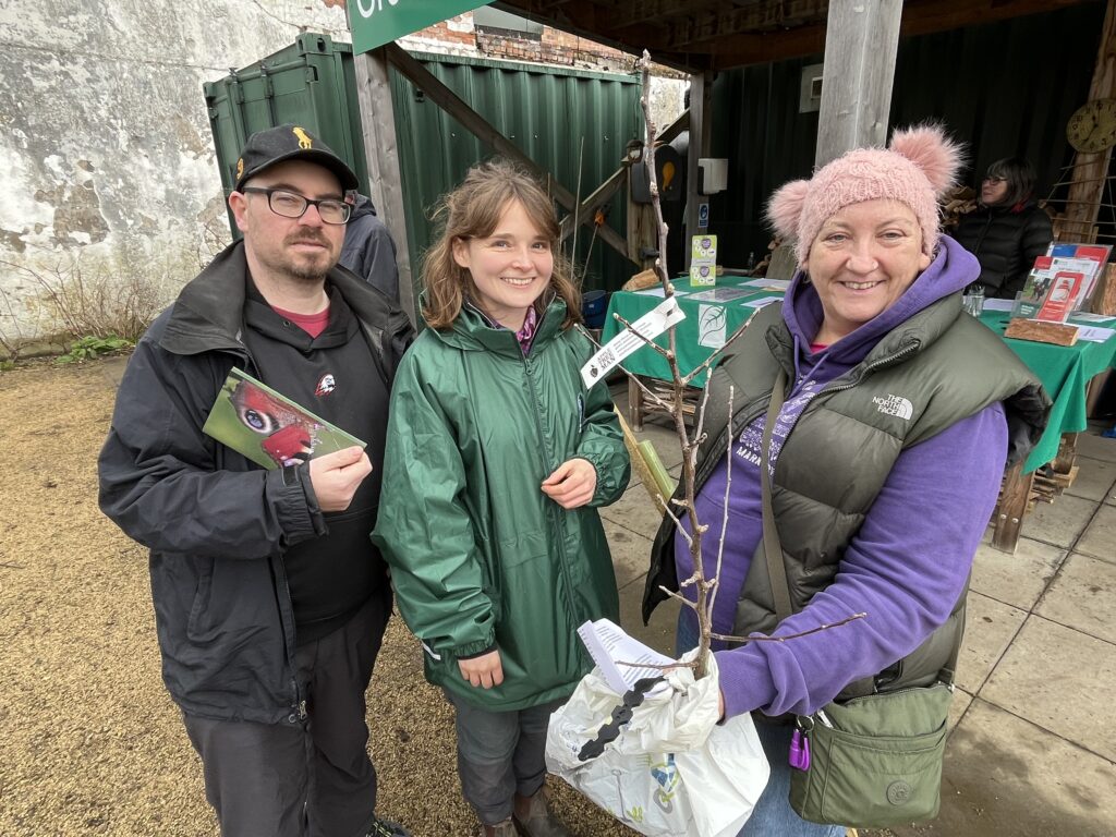 Pick up a fruit tree in Glenrothes