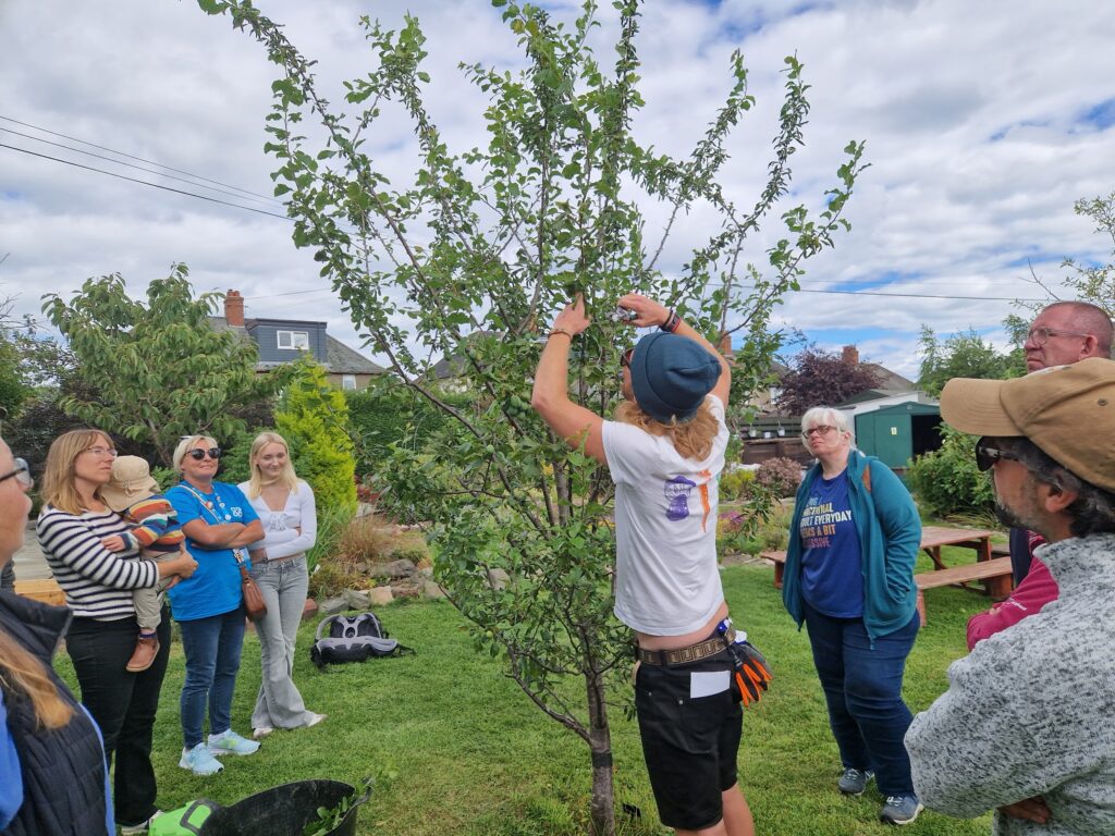 Winter pruning workshop