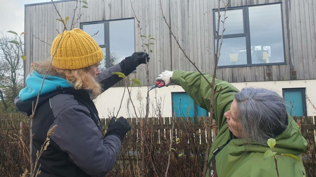 Winter fruit tree pruning workshop – Tayport