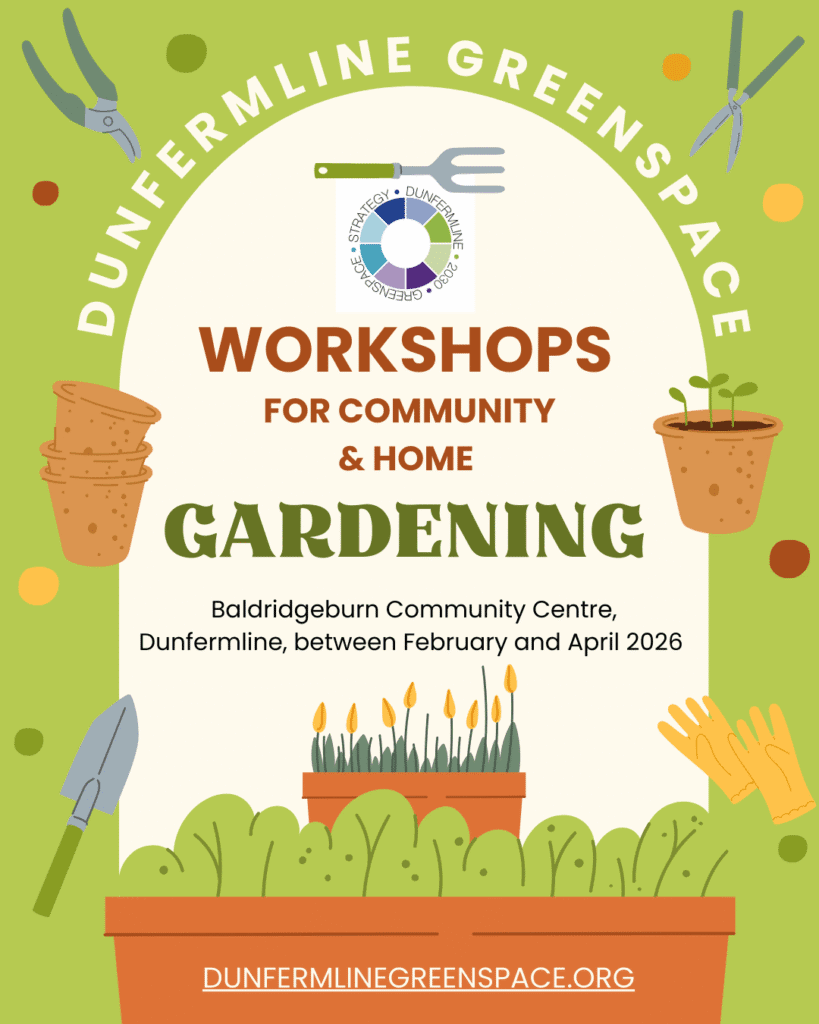 Workshop – Succession planting for continuous harvest