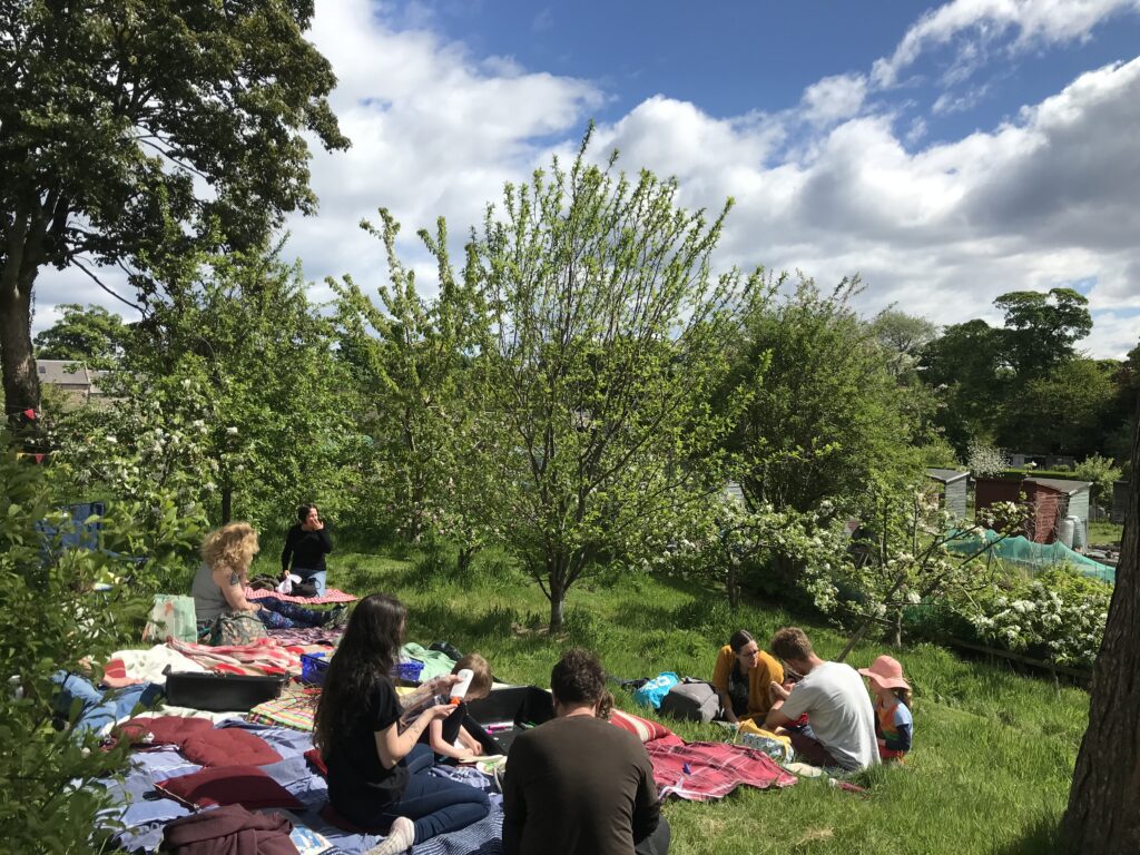 Orchard Blossom Day picnic