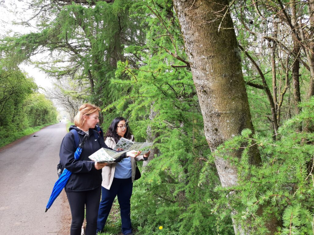 Woodland Wander – Hidden Kirkcaldy