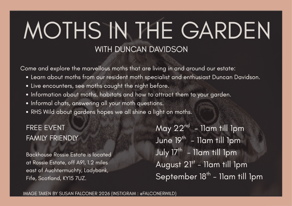 Moths in the Garden