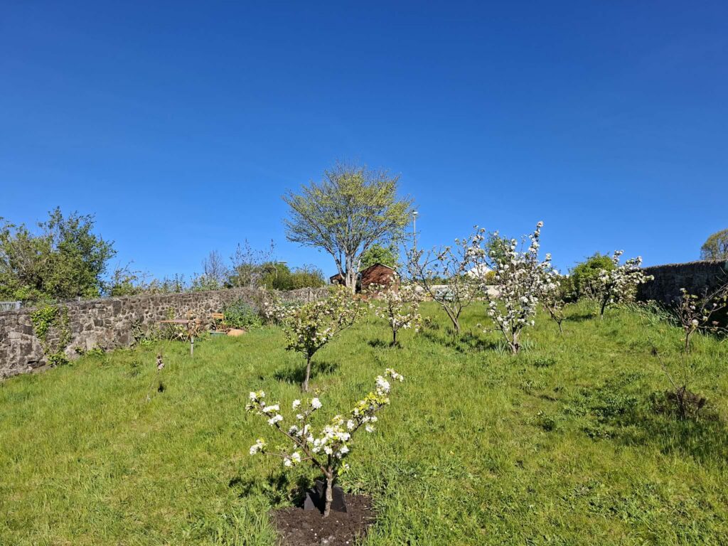 Open Day at Inverkeithing Community Garden
