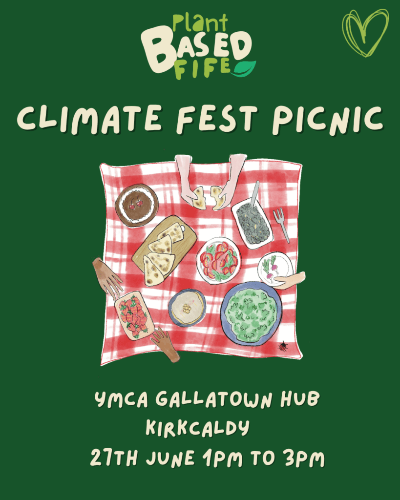 Climate Festival Picnic