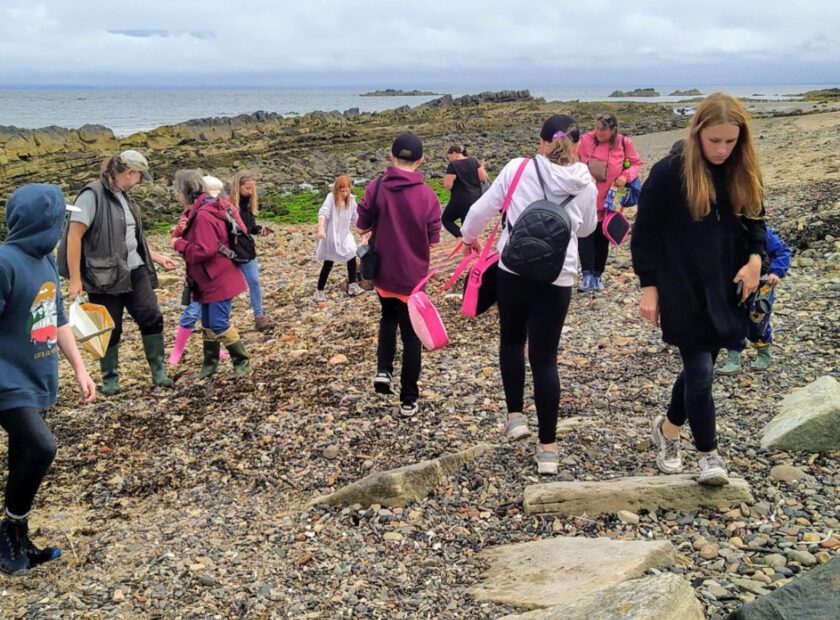 Family Fossil Hunt and Beach Campfire